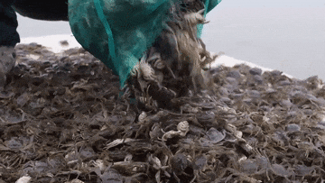 3013992511126ae195476649912e5bea