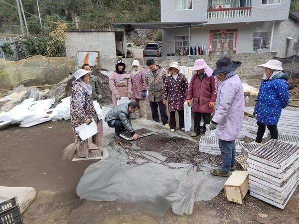 图为烟技员进行育苗基质装盘培训场景。董文武 摄