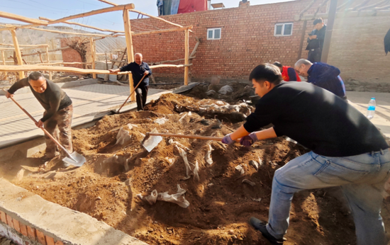 54d4b725-4248-428c-bc05-75205df81389