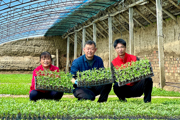 精河县：人勤春来早 蔬菜育苗正当时
