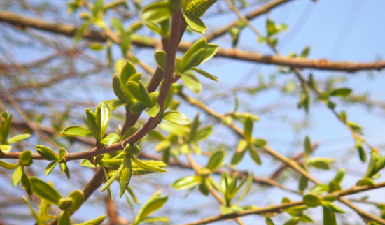 a11b4050-3aba-490e-ab48-3297e10492e0