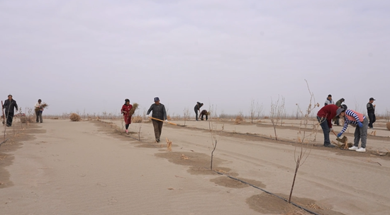 管护人员正忙碌着开展日常养护工作。阿的拉 摄