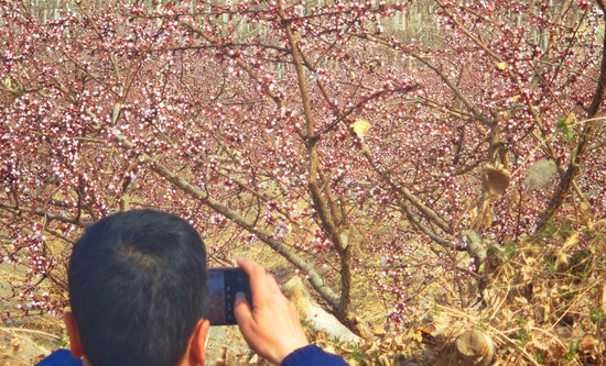 af3ca9c3-225e-4eb9-a70b-74f1d0744cc2