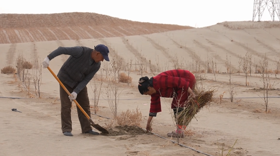 管护人员在项目区植树点补栽树木。阿的拉 摄