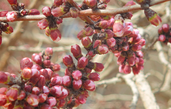 495891fa-673b-43d1-b128-43d68d69930f