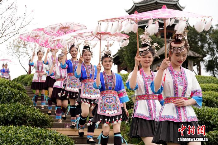 广西三江侗乡举办早春茶文化活动