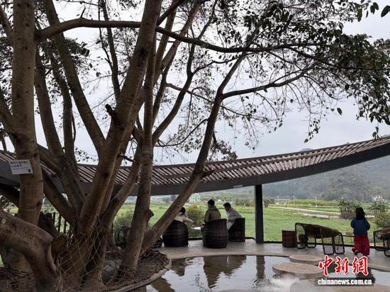 图为游客在中寨的一家咖啡店里喝咖啡。记者 周燕玲 摄 图为游客在中寨的一家咖啡店里喝咖啡。记者 周燕玲 摄