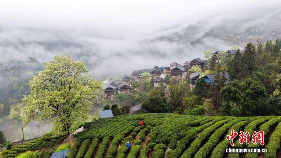 广西三江：烟雨侗寨春意浓
