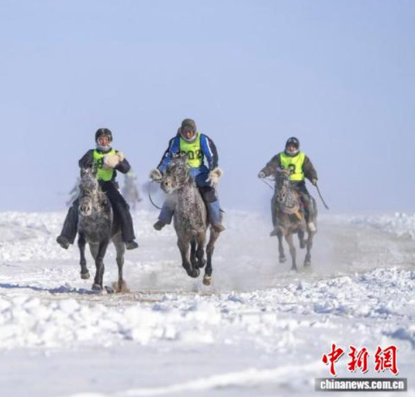 草原马术盛宴演绎极致“人马合一”
