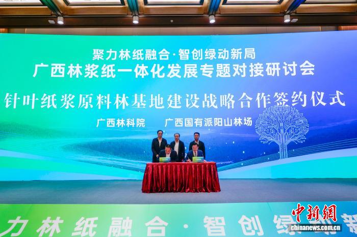 广西打造全球林浆纸产业高地