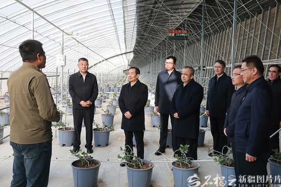 3月25日，自治区党委书记陈小江、自治区主席艾尔肯·吐尼亚孜在墨玉县现代农业产业园，实地了解新疆农牧投集团沙漠生态农业发展情况。石榴云/新疆日报记者 崔志坚摄