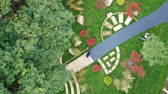 口袋公园“沐光林境” (陈杨 摄) 口袋公园“沐光林境” (陈杨 摄)