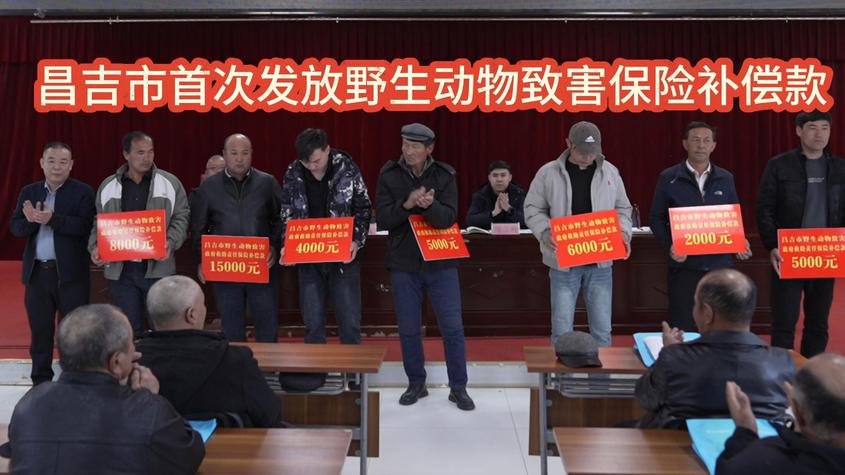 昌吉市发放首例野生动物致害保险补偿款