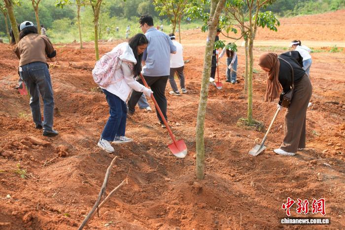 中国—东盟代表共植“低碳林” 携手迈向绿色未来