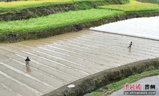 村民在育苗。万再祥 摄 村民在育苗。万再祥 摄