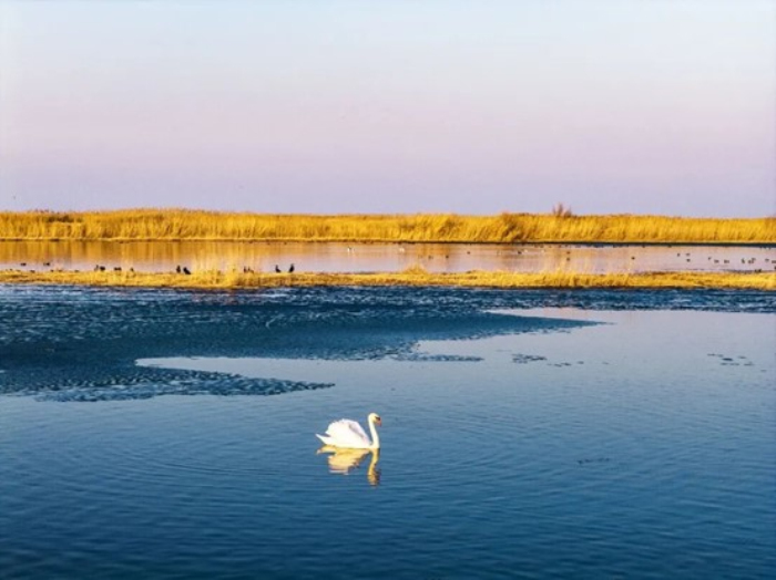 艾比湖的春，一半凛冽一半温柔