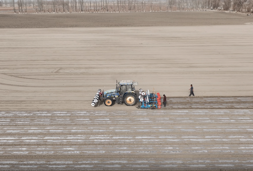 新疆兵团南部团场棉花有序开播