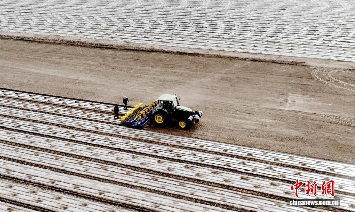 新疆莎车县百万亩棉花播种工作全面展开
