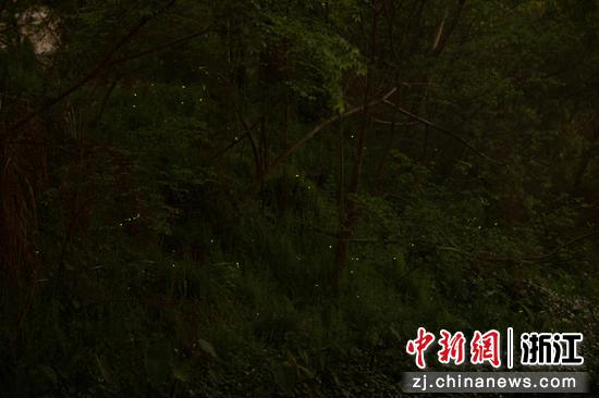 图为:3月28日晚,点点萤火在夜空中闪烁,美不胜收。孙杨洋 摄 图为:3月28日晚,点点萤火在夜空中闪烁,美不胜收。孙杨洋 摄