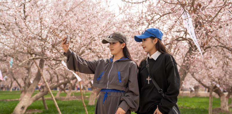 游客在杏花林下合影。 游客在杏花林下合影。