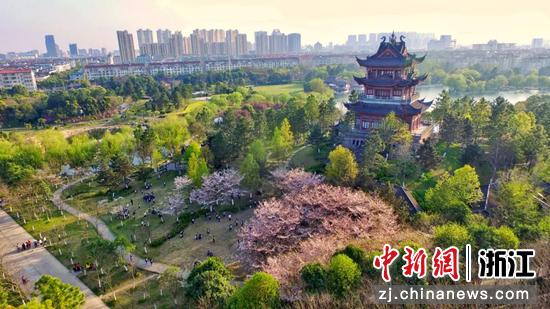 浙江桐乡城市风光。桐乡市传媒中心供图 浙江桐乡城市风光。桐乡市传媒中心供图