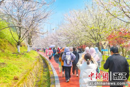 活动现场。小芝镇供图