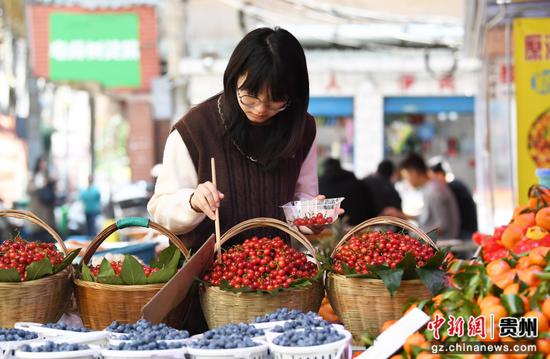3月30日,游客在贵阳市南明区兴隆街一水果店选购樱桃。 3月30日,游客在贵阳市南明区兴隆街一水果店选购樱桃。