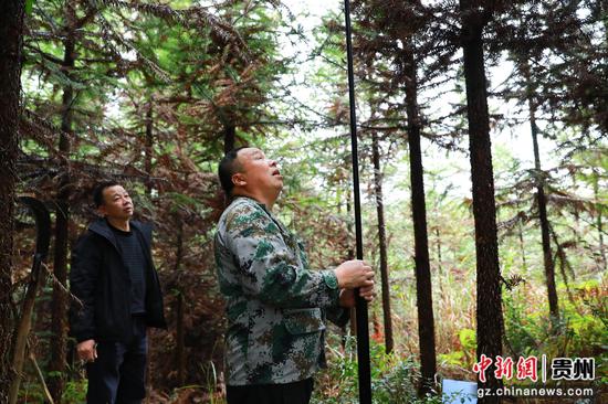 技术人员正在开展林业碳汇样地监测工作 。