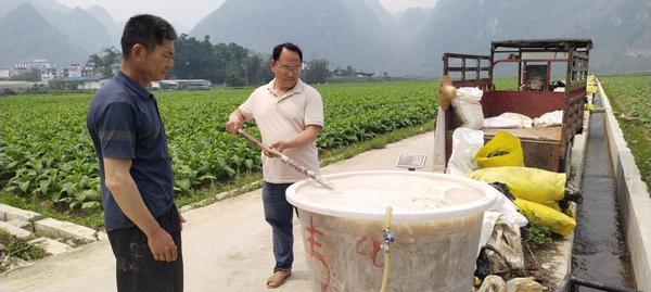 技术人员为烟农演示滴管水肥调控技术 陆启祯 摄 技术人员为烟农演示滴管水肥调控技术 陆启祯 摄