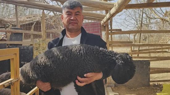 阿卜力米提·艾克木每天都与刀郎羊在一起。