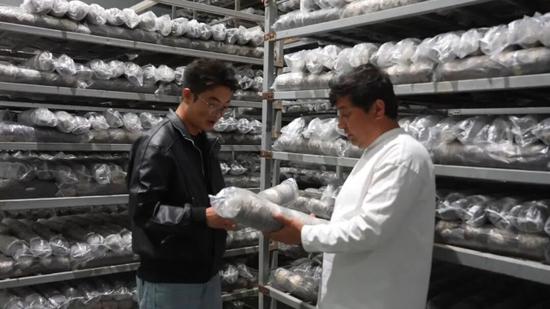 企业相关负责人对记者介绍菌棒。9