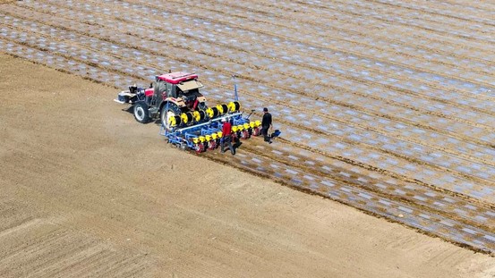 这个春天，地里“缺”人，活没少干