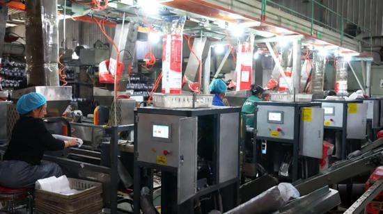 车间内，员工们忙着赶制菌包。