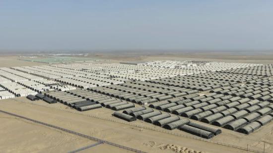 洛浦县工业园区和田昆仑菌缘农业科技有限公司滑子菇生产基地。