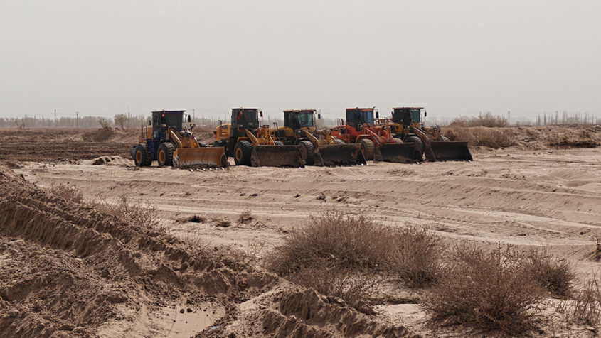 4000亩沙漠盐碱地造林工作有序推进 筑牢耕地保护与生态屏障