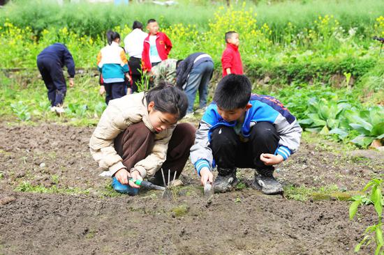 小朋友手拿锄头认真地翻土。欧靖文摄