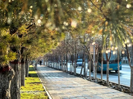 宜居 宜业 宜乐 宜游！博州环境提质，藏在细节~