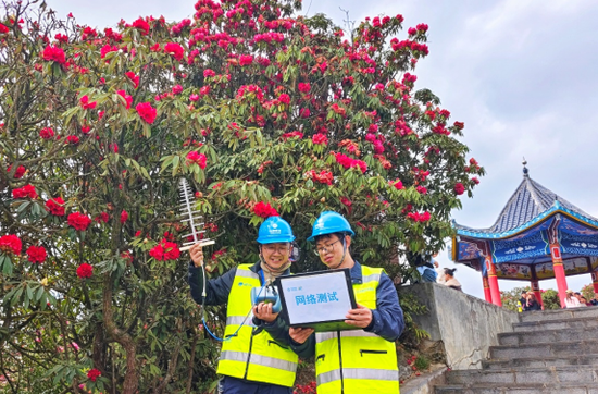 百里杜鹃迎来最“燃”花季，贵州移动用硬核网络实力“宠粉”