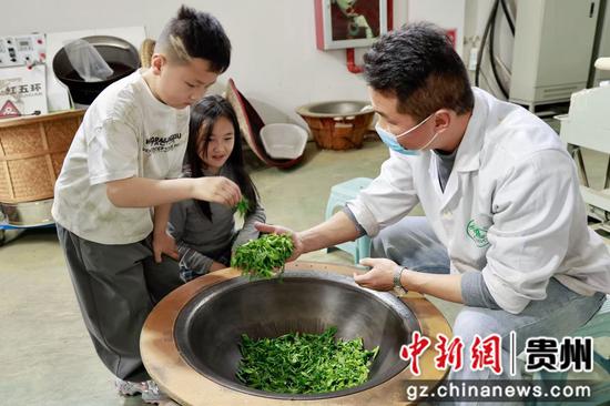 小朋友体验手工制茶 小朋友体验手工制茶