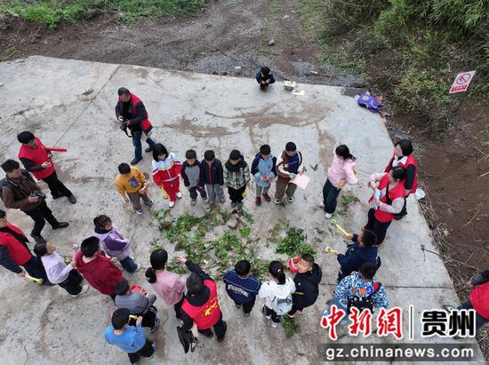 2026年4月3日,贵州省毕节市大方县“中药行”研学实践活动现场,学生们正在进行知识抢答。何志刚摄 2026年4月3日,贵州省毕节市大方县“中药行”研学实践活动现场,学生们正在进行知识抢答。何志刚摄