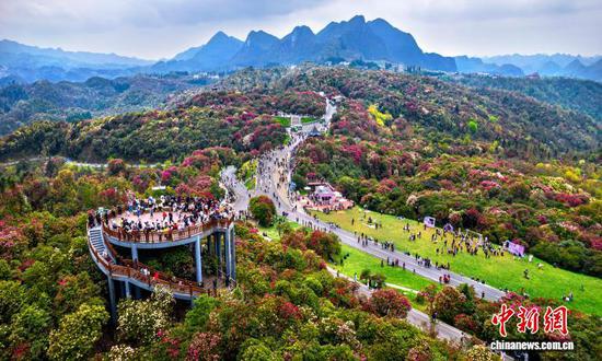 2026年4月1日，游客在贵州毕节百里杜鹃景区游玩。史开心摄