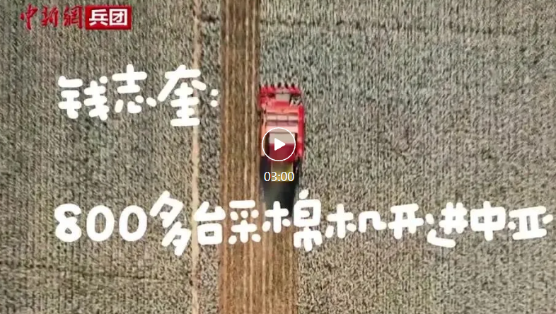 【与你为邻】钱志奎：800多台采棉机开进中亚