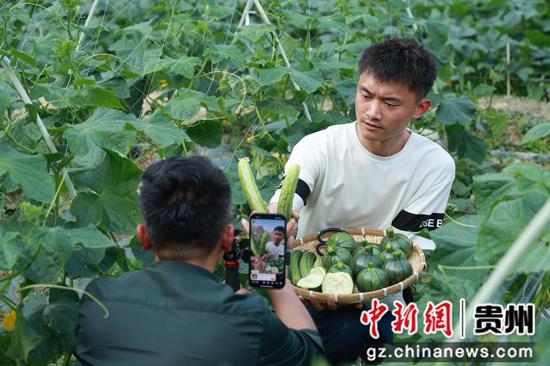 “村播”们在瓜田间直播卖小瓜和黄瓜
