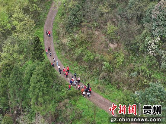 2026年4月3日,贵州省毕节市大方县“中药行”研学实践活动现场。何志刚摄 2026年4月3日,贵州省毕节市大方县“中药行”研学实践活动现场。何志刚摄