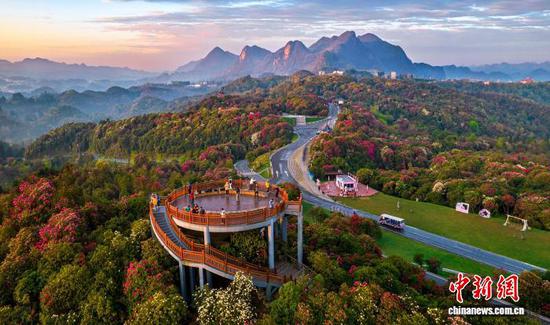 2026年4月4日，地处乌蒙山腹地的贵州省毕节市百里杜鹃景区各类杜鹃绽放，暖阳下，人们踏青赏花，乐享假日春光。百里杜鹃景区横跨贵州毕节大方县和黔西市，核心区面积达125.8平方公里。景区内绵延百里的高山原生态杜鹃林是迄今为止已查明的世界上面积最大、种类最多、保存最完好的原始杜鹃林，有“地球彩带·世界花园”的美誉。 史开心 摄