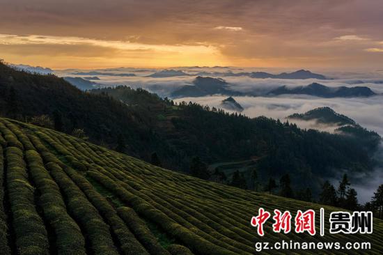 贵州省黔东南州岑巩县客楼镇下寨村拍摄云雾云海。罗慧摄