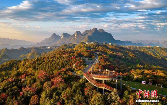 2026年4月4日，地处乌蒙山腹地的贵州省毕节市百里杜鹃景区各类杜鹃绽放，暖阳下，人们踏青赏花，乐享假日春光。百里杜鹃景区横跨贵州毕节大方县和黔西市，核心区面积达125.8平方公里。景区内绵延百里的高山原生态杜鹃林是迄今为止已查明的世界上面积最大、种类最多、保存最完好的原始杜鹃林，有“地球彩带·世界花园”的美誉。 史开心 摄