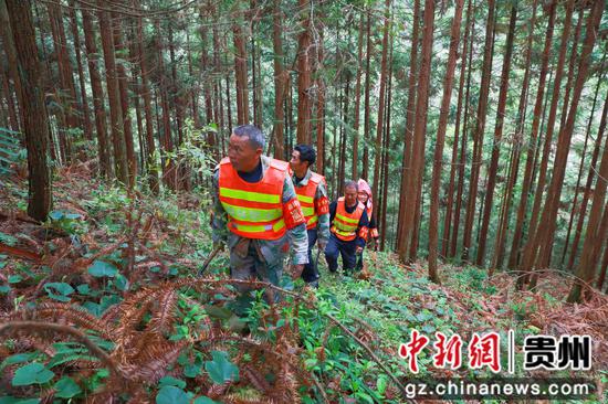 剑河县革东镇宝贡屯村的护林员在巡山。杨洁茹 摄