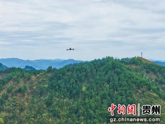无人机在进行森林防火巡航。彭开燚 摄