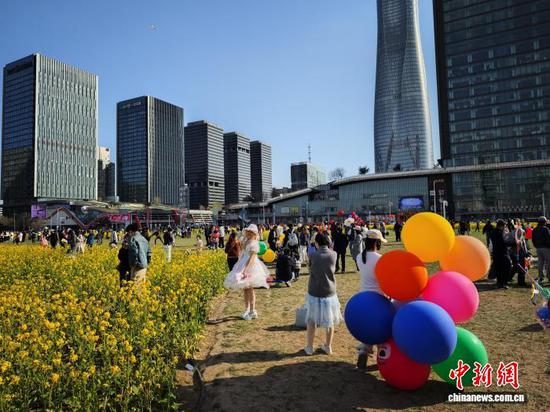 4月6日，天津，民众在油菜花田踏青游玩。近日，天津经开区泰达城市公园樱花与MSD广场油菜花同期盛放，吸引了众多市民和游客前来踏青赏花，邂逅春日浪漫之约。中新社记者 佟郁 摄